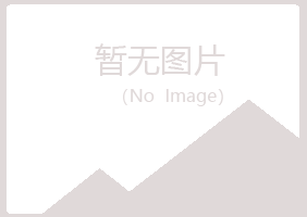 绵阳山柳化学有限公司